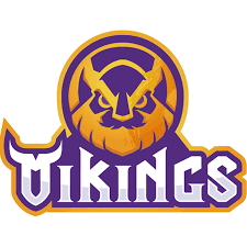 Logo Công Ty VIKINGS