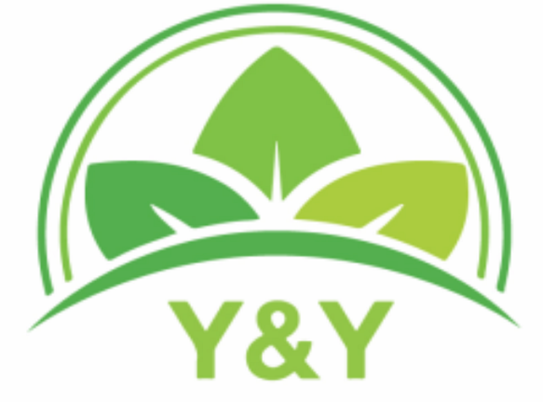 Logo Công Ty Y&y Precision And Automation