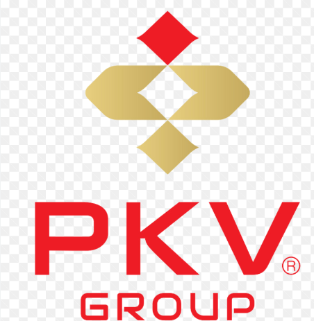 Logo Công Ty Tập Đoàn PKV Group