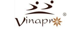 Logo Công Ty VINAPRO GROUP