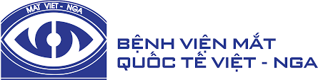 Logo Công Ty Bệnh Viện Mắt Quốc Tế Việt - Nga