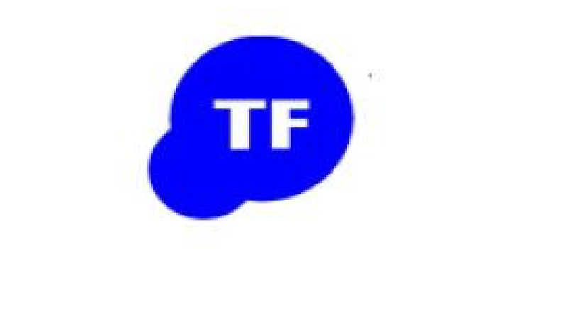 Logo Công Ty TF VIỆT NAM