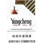 Logo Công Ty Gỗ Yang Cheng