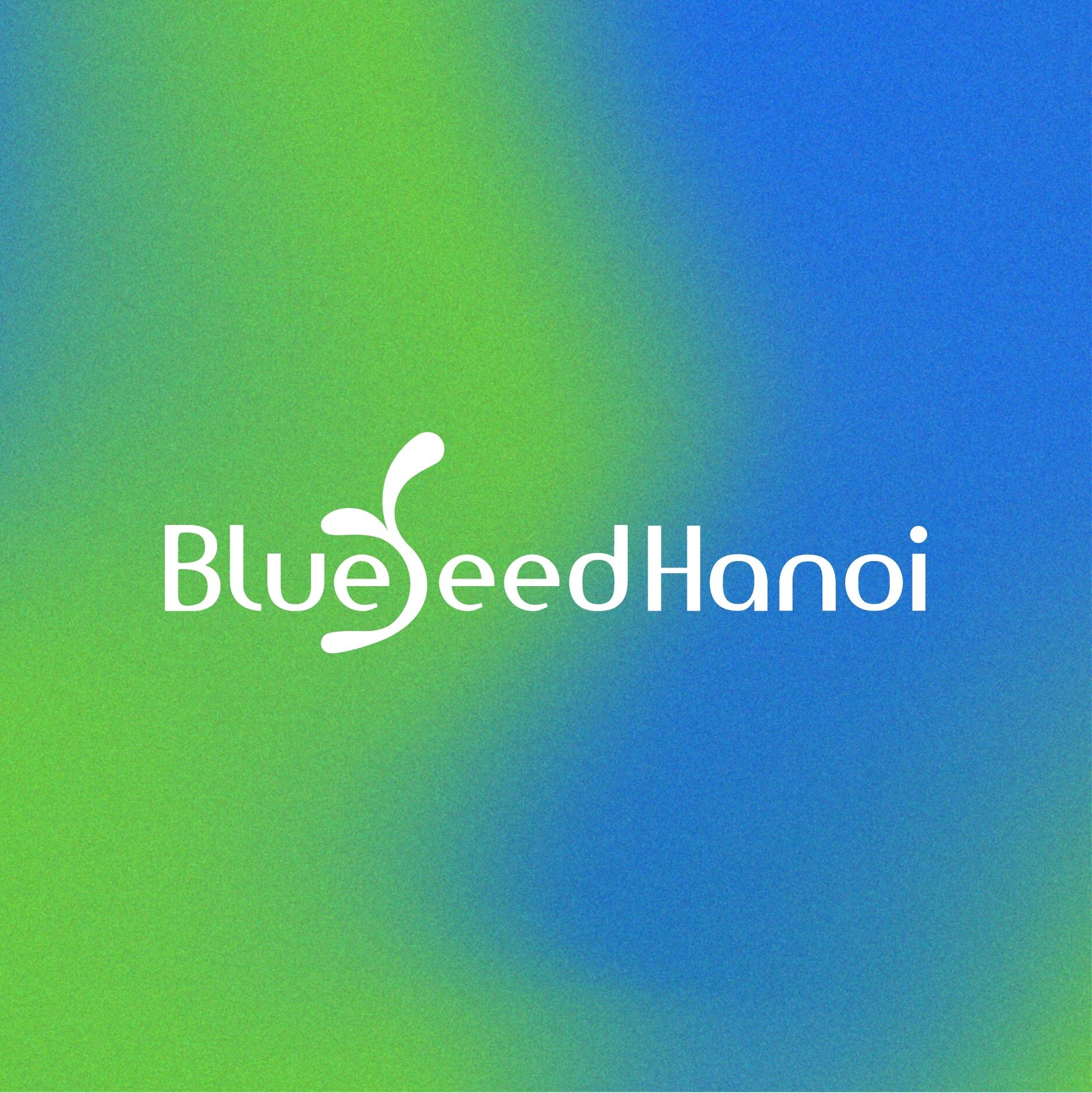 Logo Công Ty Blueseed