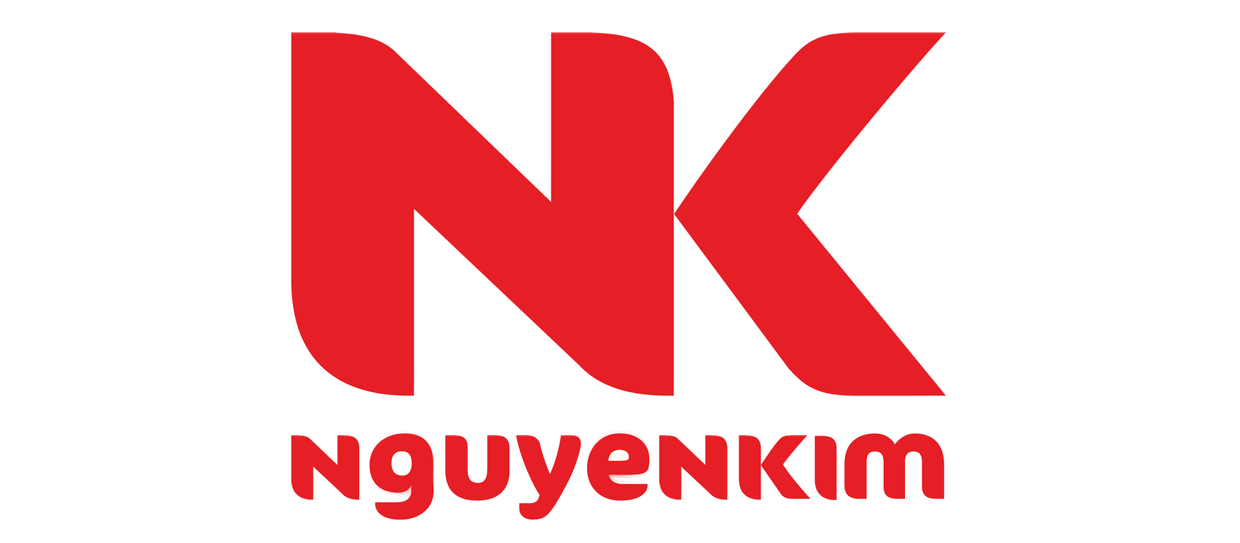 Logo Công Ty Hệ Thống Nguyễn Kim