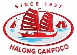 Logo Công Ty Hạ Long - Đà Nẵng