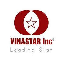 Logo Công Ty Quốc tế Sao Việt - Vinastar
