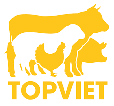 Logo Công Ty Top Việt