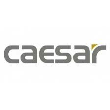 Logo Công Ty Thiết Bị Vệ Sinh Caesar Việt Nam