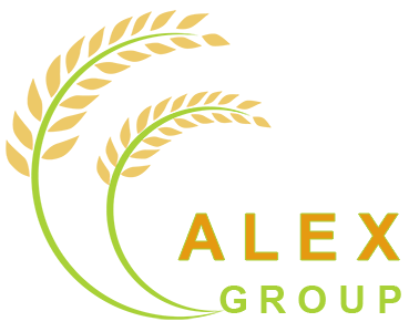 Logo Công Ty Alex
