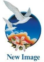 Logo Công Ty NEW IMAGE