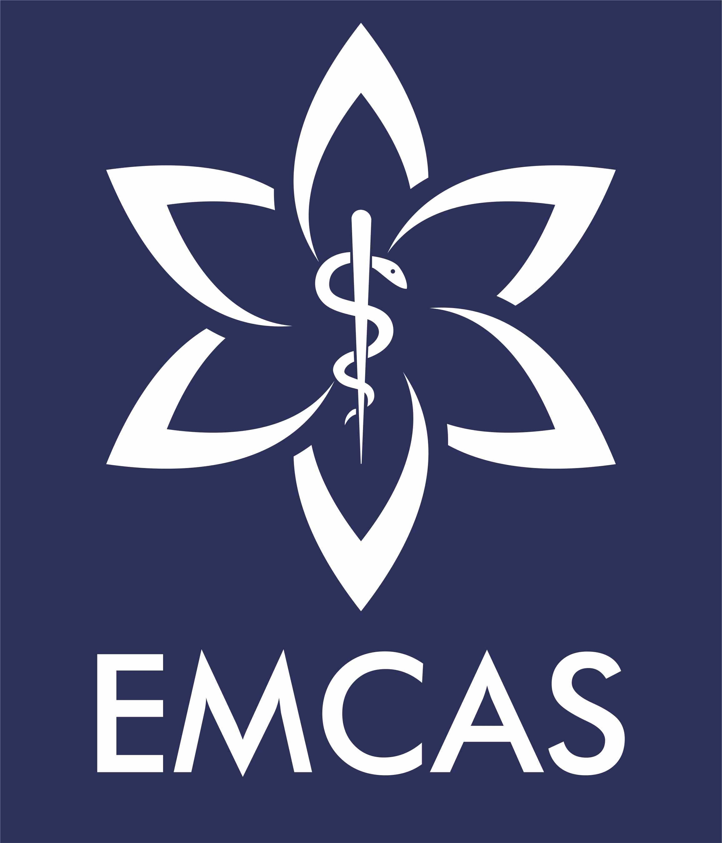 Logo Công Ty Bệnh Viện EMCAS
