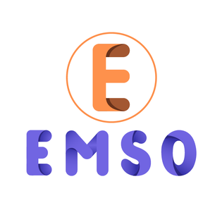 Logo Công Ty EMSO VIỆT NAM