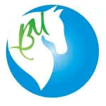 Logo Công Ty Công Ty Cổ Phần Máy Công Trình Bạch Mã