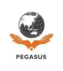 Logo Công Ty Trường Cao đẳng Quốc tế Pegasus