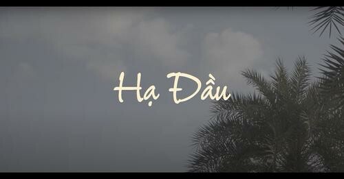 Logo Công Ty Đoàn Phim