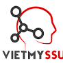 Logo Công Ty Việt Mỹ - SSU