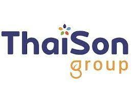 Logo Công Ty Thái Sơn Tây Nguyên