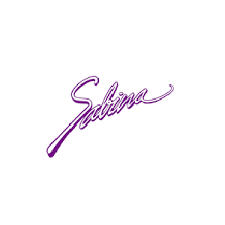 Logo Công Ty SBN Việt Nam