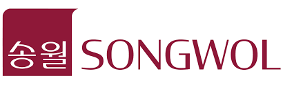 Logo Công Ty Songwol Vina