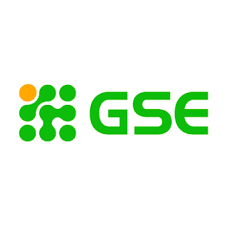 Logo Công Ty Dịch Vụ Giáo Dục Toàn Cầu (GSE)