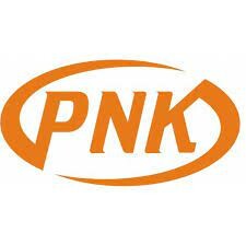 Logo Công Ty PNK GROUP