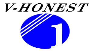 Logo Công Ty VHONEST