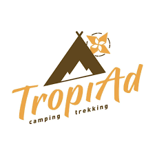 Logo Công Ty TropiAd