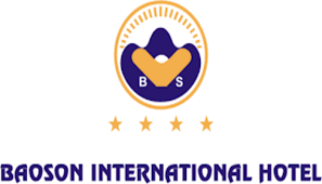 Logo Công Ty Tập Đoàn Bảo Sơn