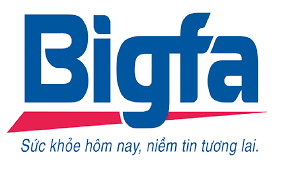 Logo Công Ty Công Ty Bigfa