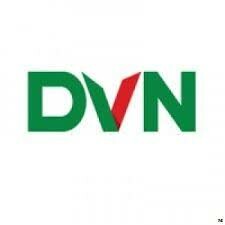Logo Công Ty Công ty TNHH DVN Việt Nam