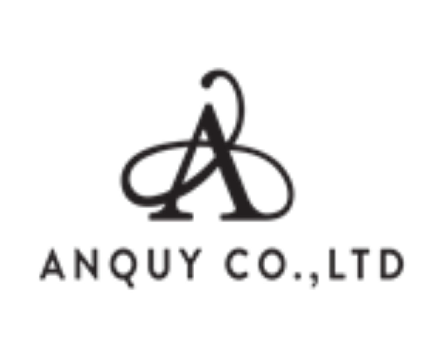 Logo Công Ty AN QUÝ